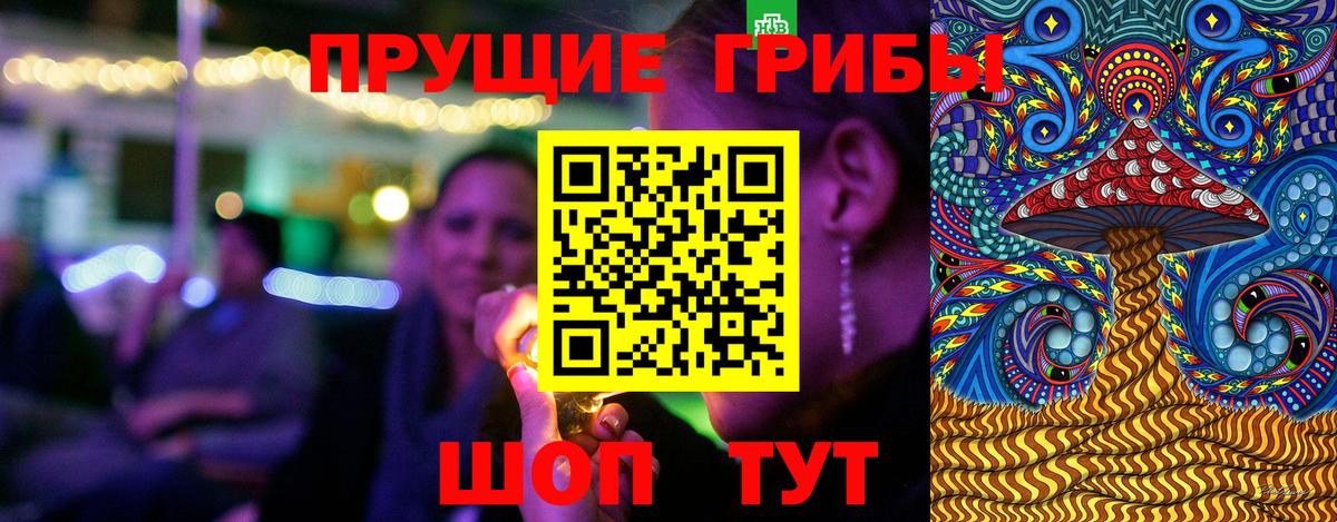 Южноуральск  Псилоцибиновые грибы Psilocybine cubensis  Вход с VPN  Галлюциногенные грибы Psilocybe 